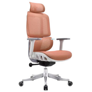 Orange 人體工學椅